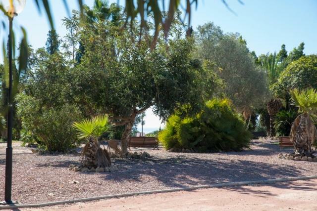 Residencia Marista Santa Maria Del Mar Guardamar del Segura Bagian luar foto