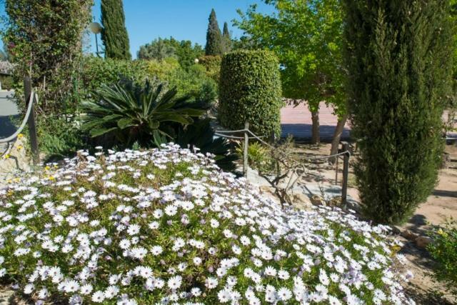 Residencia Marista Santa Maria Del Mar Guardamar del Segura Bagian luar foto
