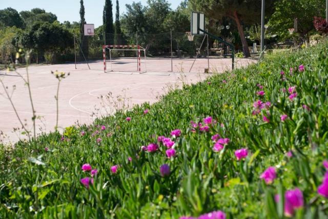 Residencia Marista Santa Maria Del Mar Guardamar del Segura Bagian luar foto